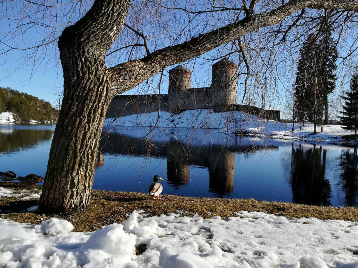 Savonlinna Rentals Εξωτερικό φωτογραφία